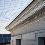 Bird Proofing Installation & Clean
